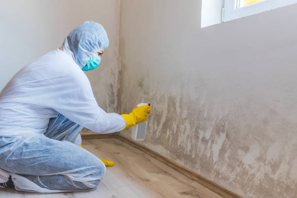 Licensed Commercial Mold Remediation service in Piscataway, NJ - WQB Mold Removal