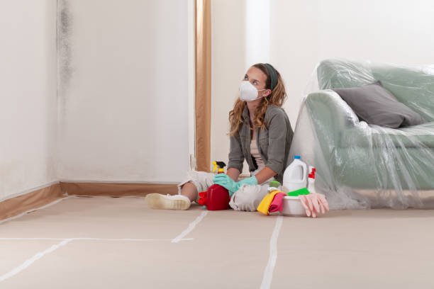 Reliable Commercial Mold Remediation contractor in Piscataway, NJ by WQB Mold Removal